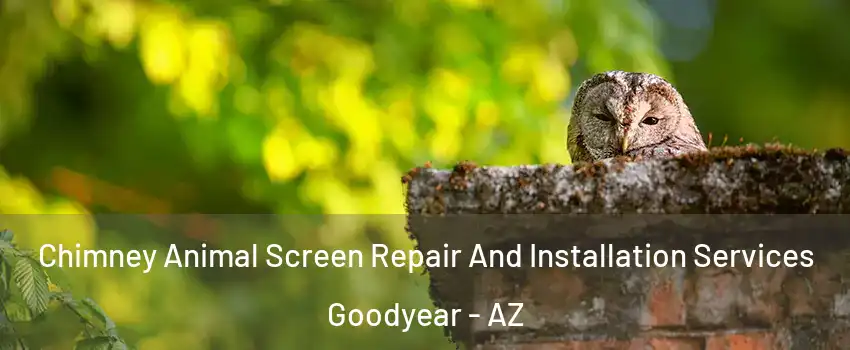  Chimney Animal Screen Repair And Installation Services Goodyear - AZ