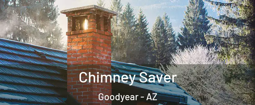  Chimney Saver Goodyear - AZ