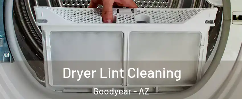  Dryer Lint Cleaning Goodyear - AZ