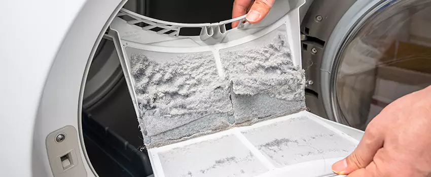Best Dryer Lint Removal Company in Goodyear, Arizona
