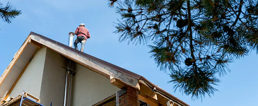 Birds Removal Contractors from Chimney in Goodyear, AZ